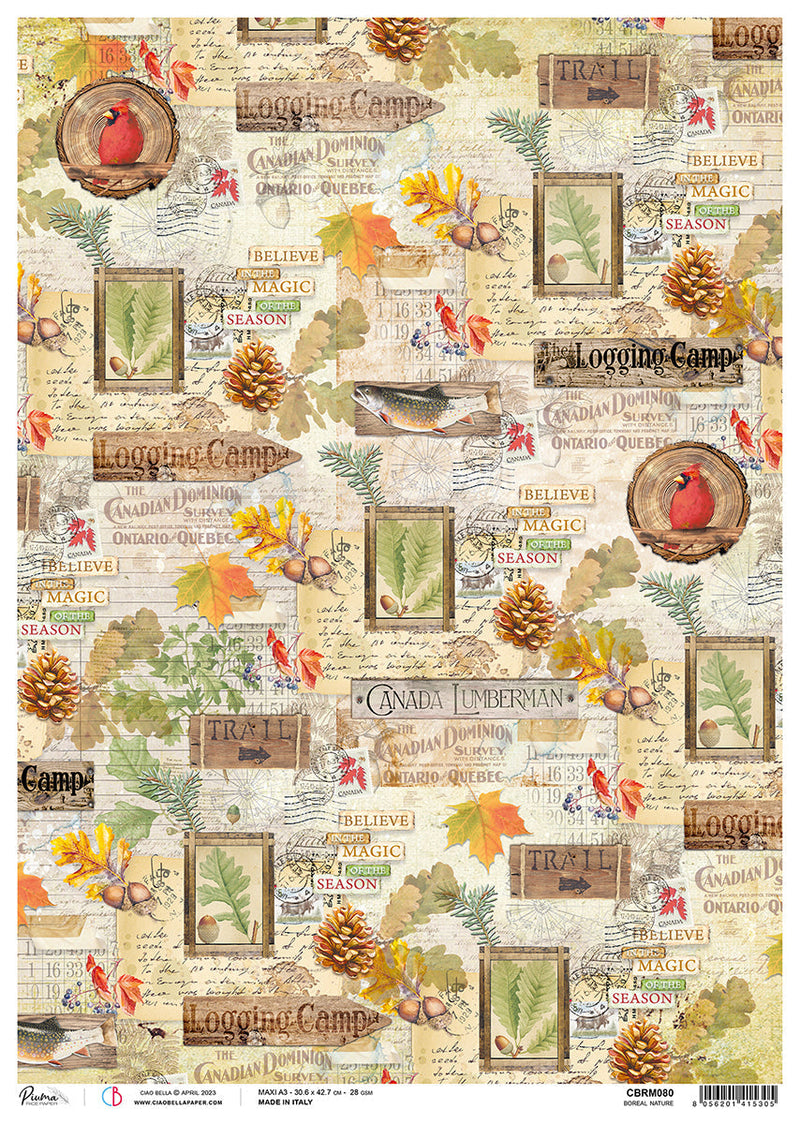 Ciao Bella Rice Paper A3 Piuma Boreal Nature - 3 Sheets-1