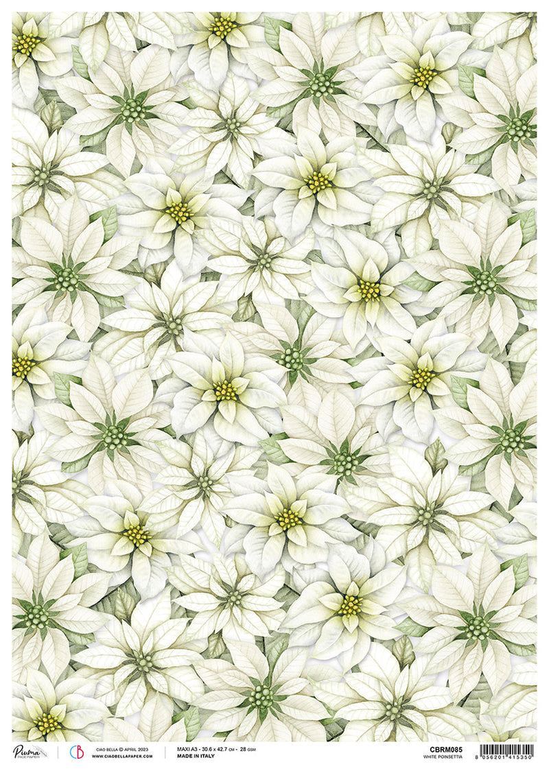Papel de arroz Ciao Bella A3 Piuma Poinsettia blanca - 3 hojas-1
