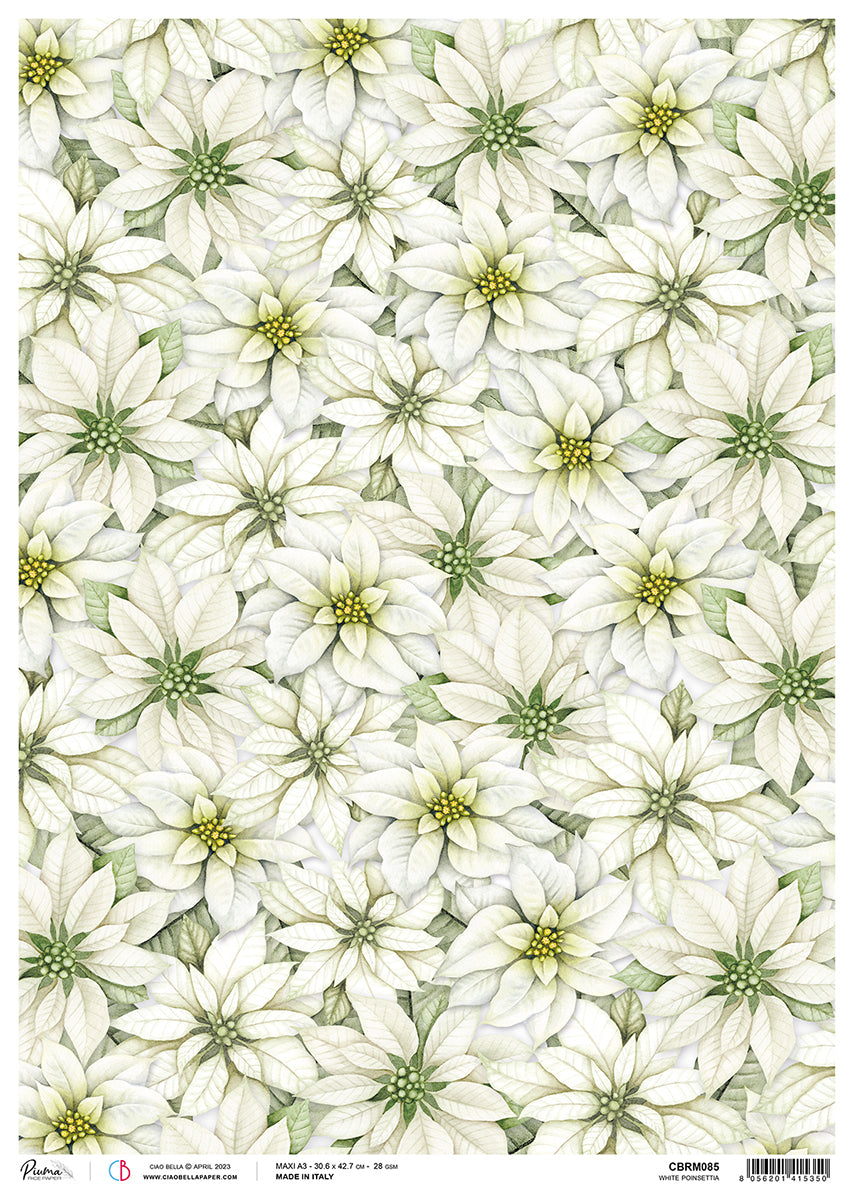 Papel de arroz Ciao Bella A3 Piuma Poinsettia blanca - 3 hojas