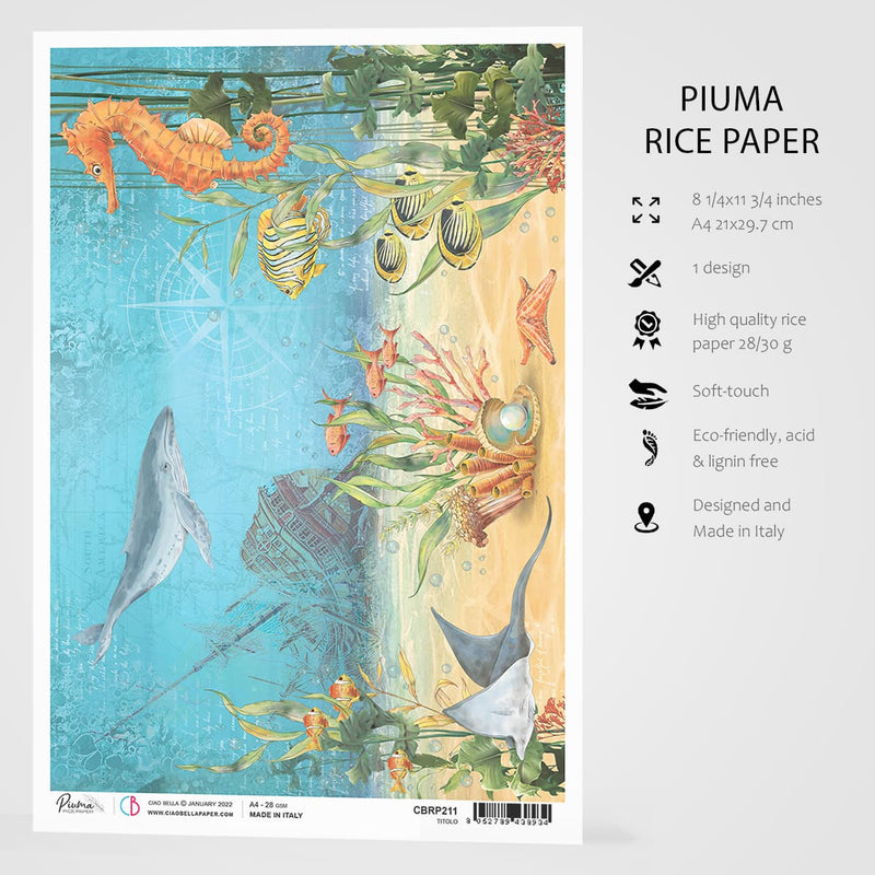 Ciao Bella Rice Paper A4 The Shipwreck-3