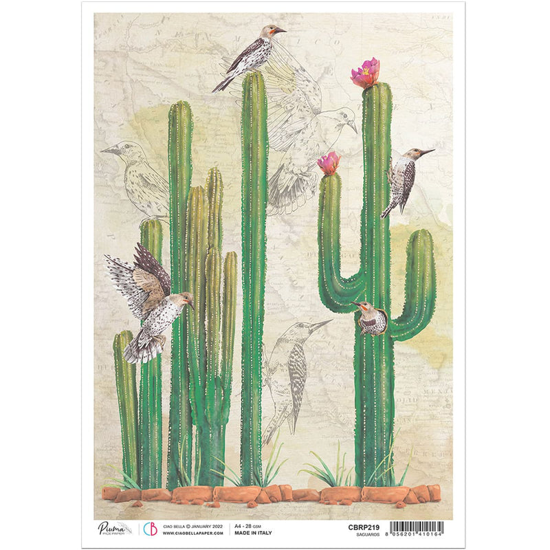 Ciao Bella Rice Paper A4 Saguaros-1