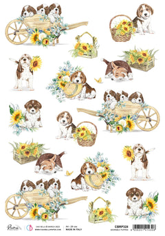 Ciao Bella Rice Paper A4 Piuma Adorable Puppies - 5 Sheets-1