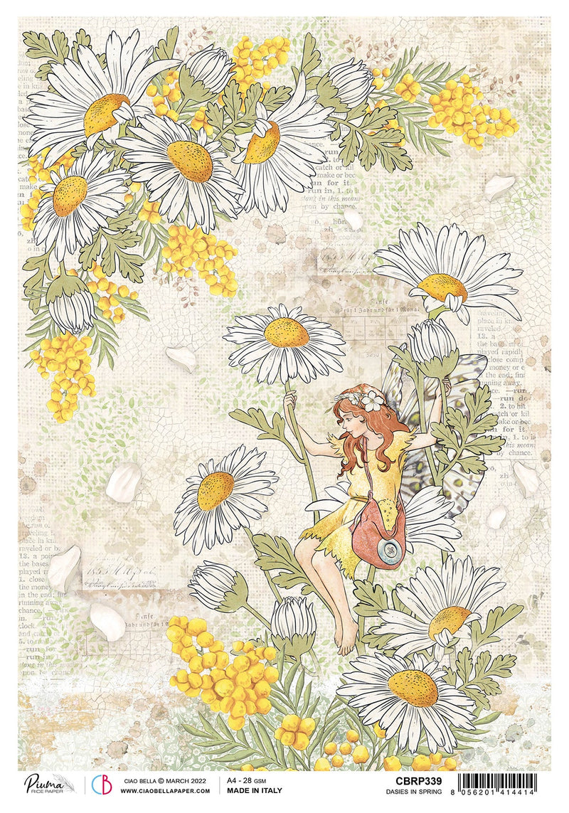 Ciao Bella Rice Paper A4 Piuma Dasies In Spring - 5 Sheets-1