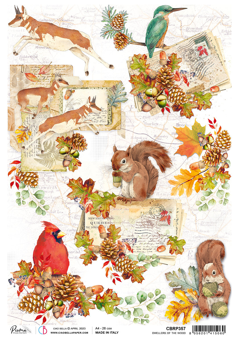 Ciao Bella Papel de Arroz A4 Piuma Dwellers Of The Wood - 5 Hojas