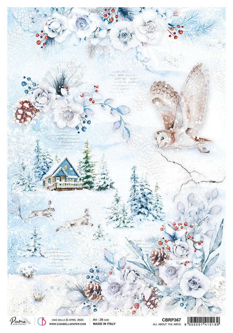 Ciao Bella Rice Paper A4 Piuma All About The Arctic - 5 Sheets-1
