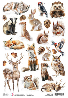 Rice Paper A4 Forest Companions - 5 Sheets-1