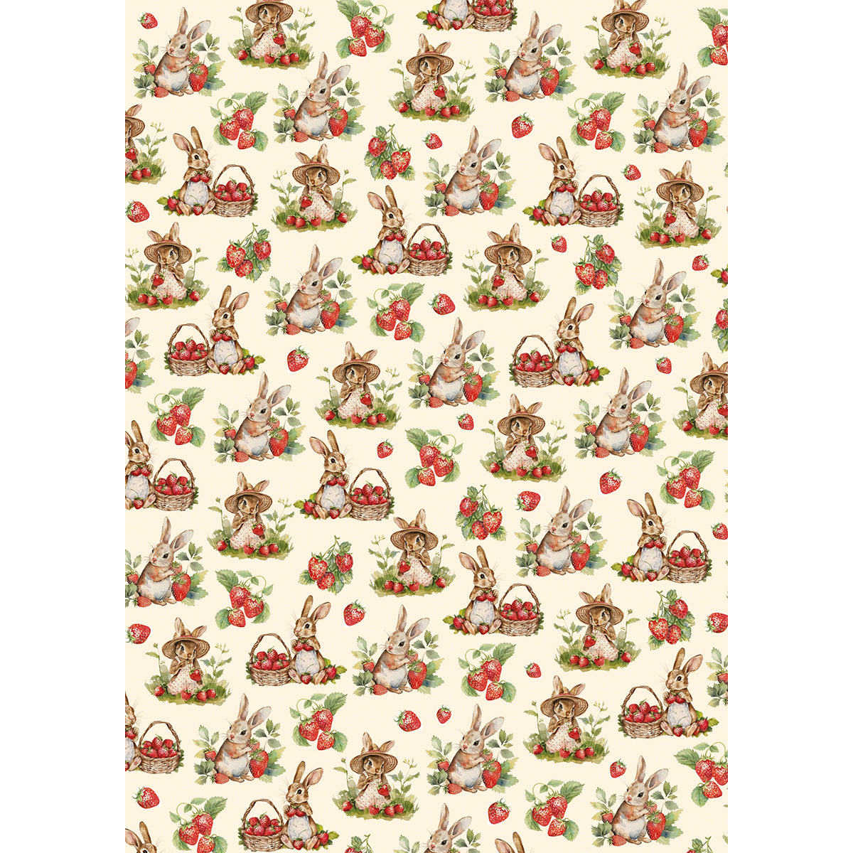 Papier de Riz A5 ASSORTI 8/Paquet Fête Forestière-3
