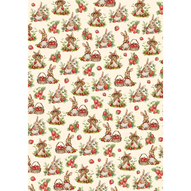 Papier de Riz A5 ASSORTI 8/Paquet Fête Forestière-3