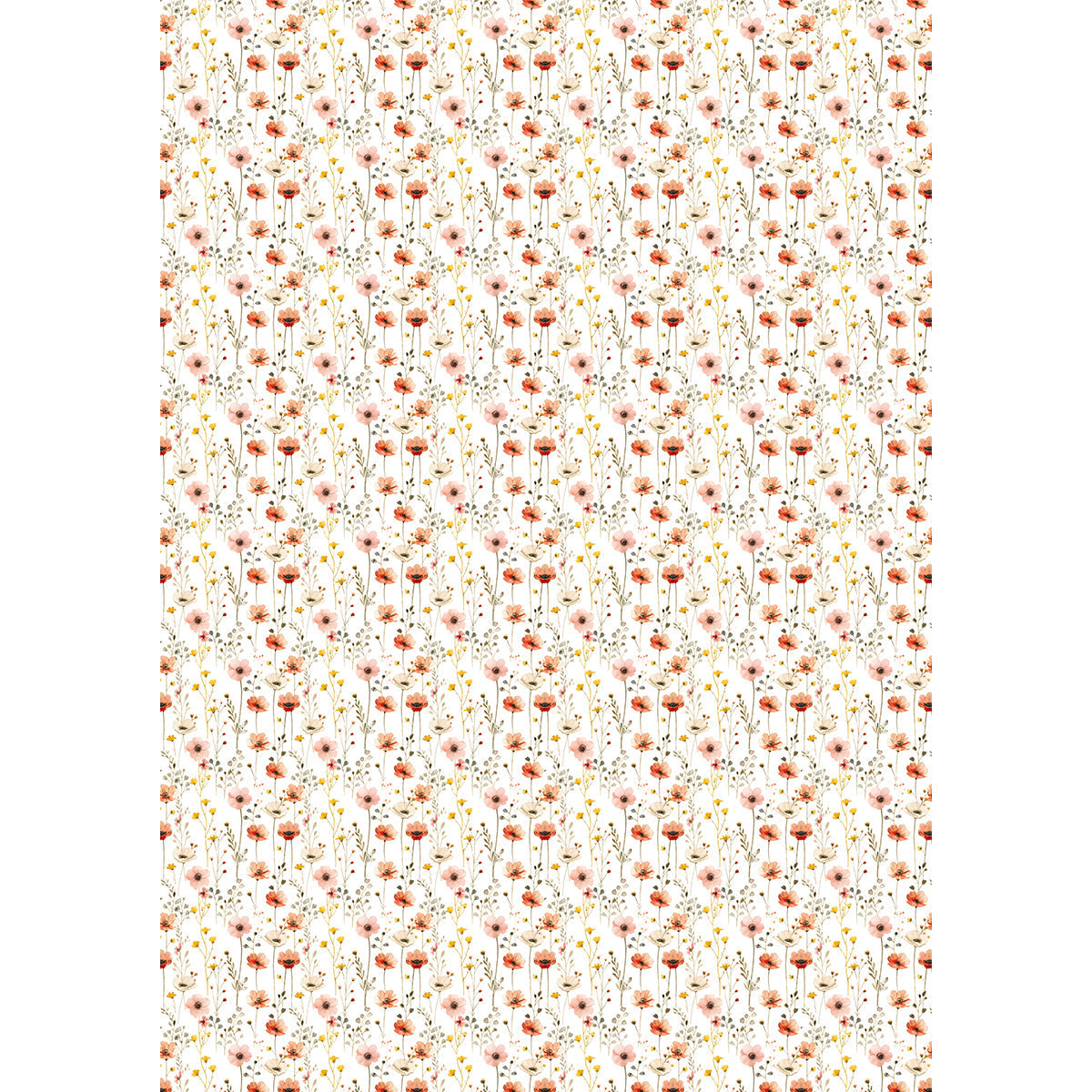 Papier de Riz A5 ASSORTI 8/Paquet Fête Forestière-5