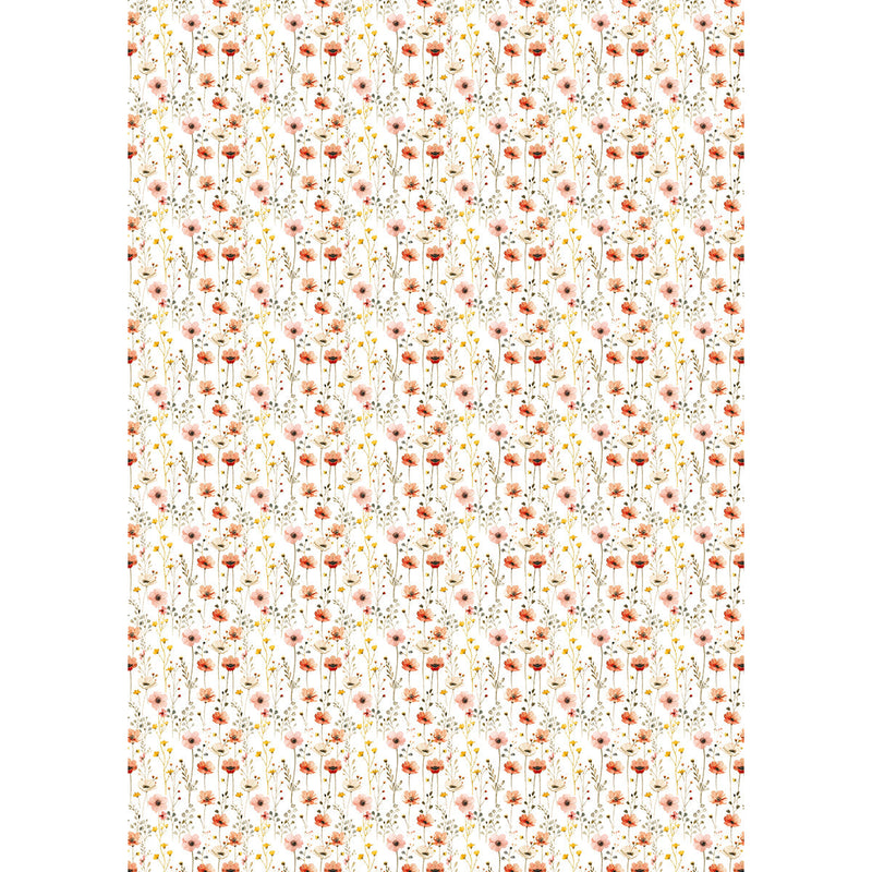 Papier de Riz A5 ASSORTI 8/Paquet Fête Forestière-5