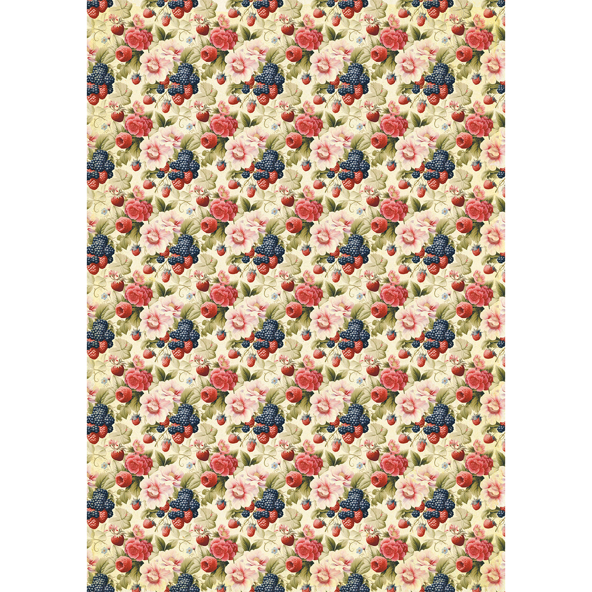 Papier de Riz A5 ASSORTI 8/Paquet Fête Forestière-7