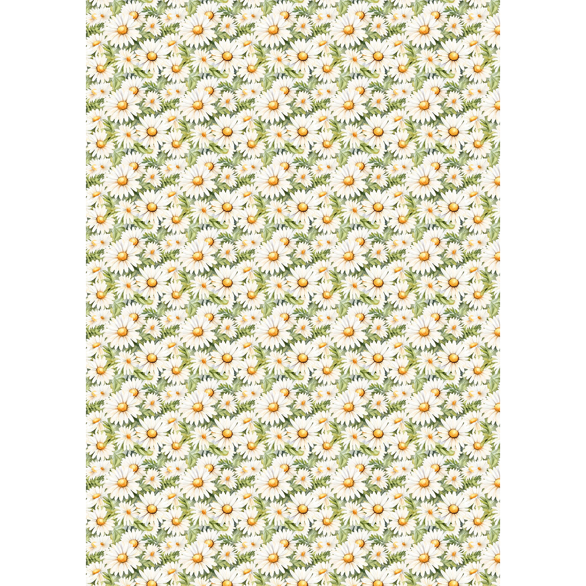 Papier de Riz A5 ASSORTI 8/Paquet Fête Forestière-8
