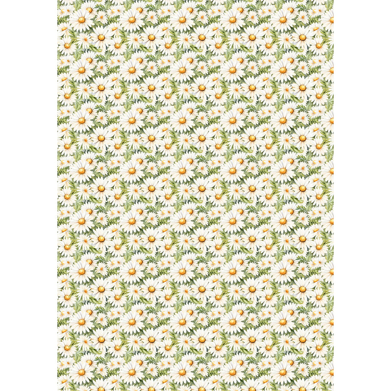 Papier de Riz A5 ASSORTI 8/Paquet Fête Forestière-8