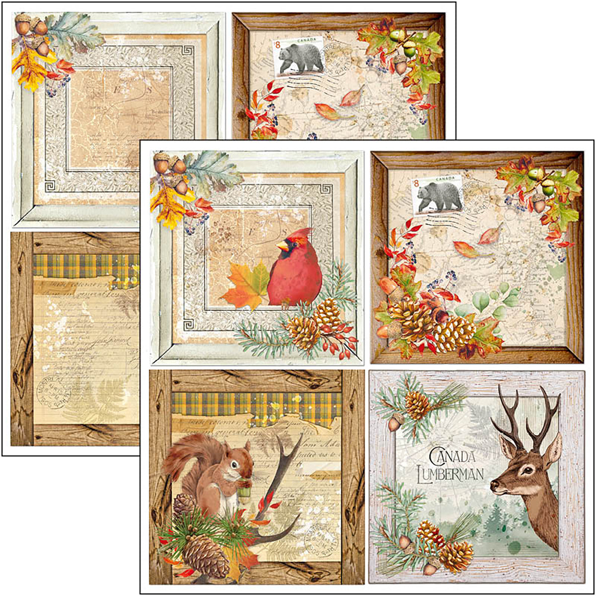 Ciao Bella Into The Wild  Patterns Pad 12"x12" 8/Pkg-3