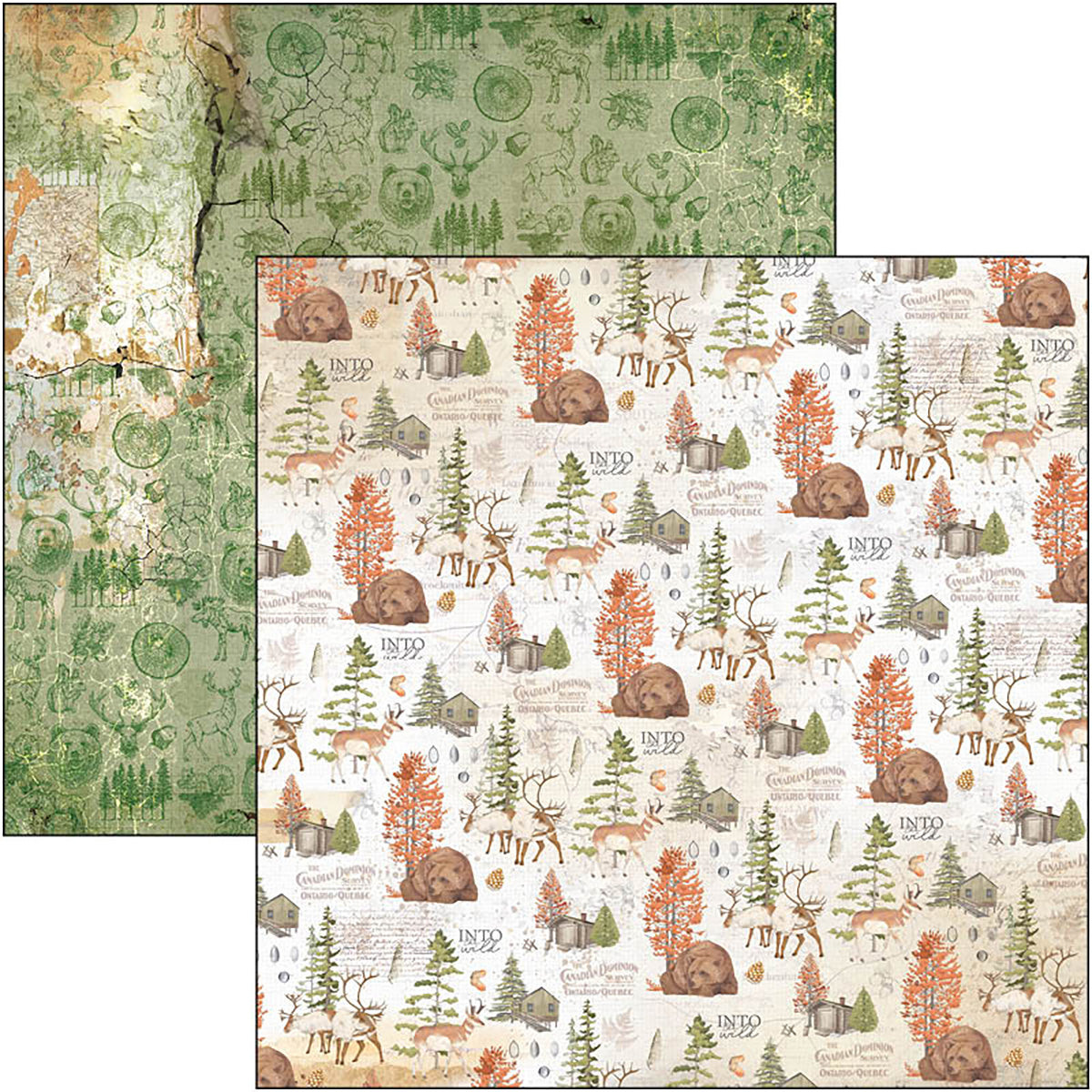 Ciao Bella Into The Wild  Patterns Pad 12"x12" 8/Pkg-5