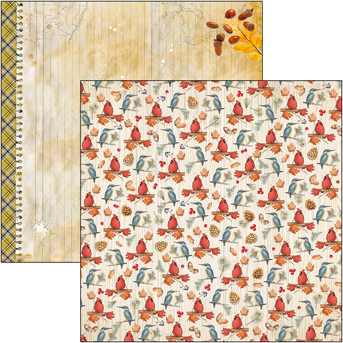 Ciao Bella Into The Wild  Patterns Pad 12"x12" 8/Pkg-8