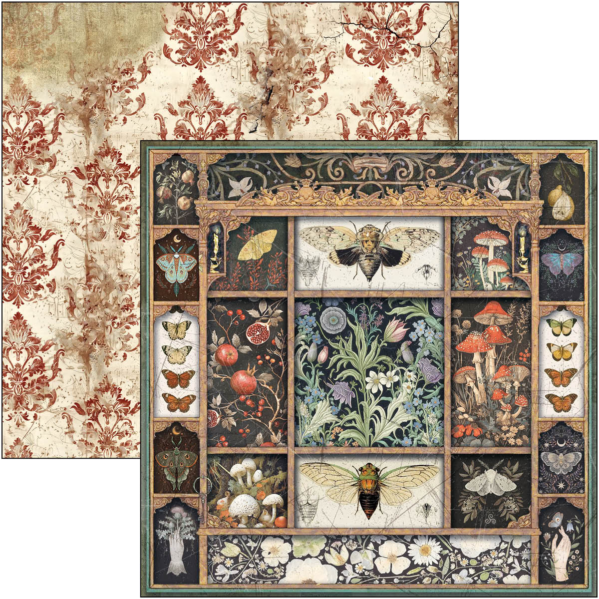 Cabinet Of Curiosities Patterns Pad 12"x12" 8/Pkg-3