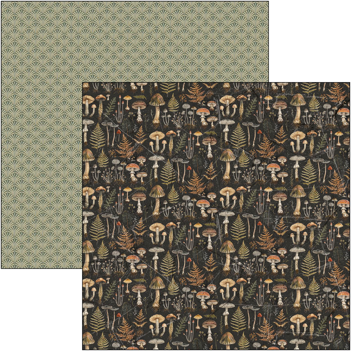 Cabinet Of Curiosities Patterns Pad 12"x12" 8/Pkg-4