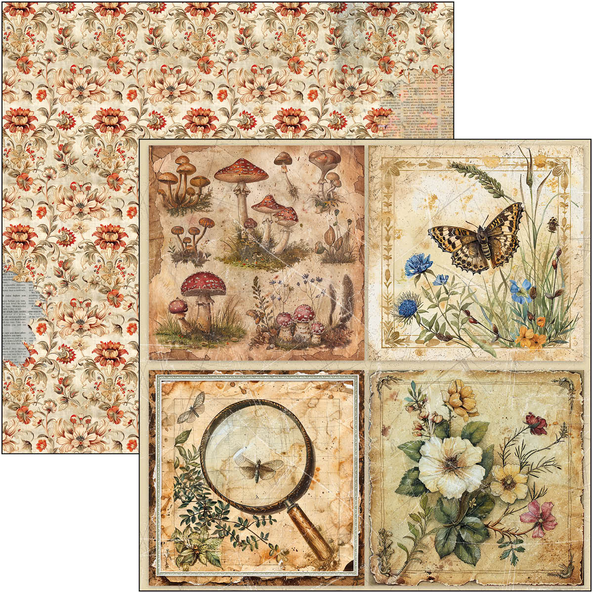 Cabinet Of Curiosities Patterns Pad 12"x12" 8/Pkg-5
