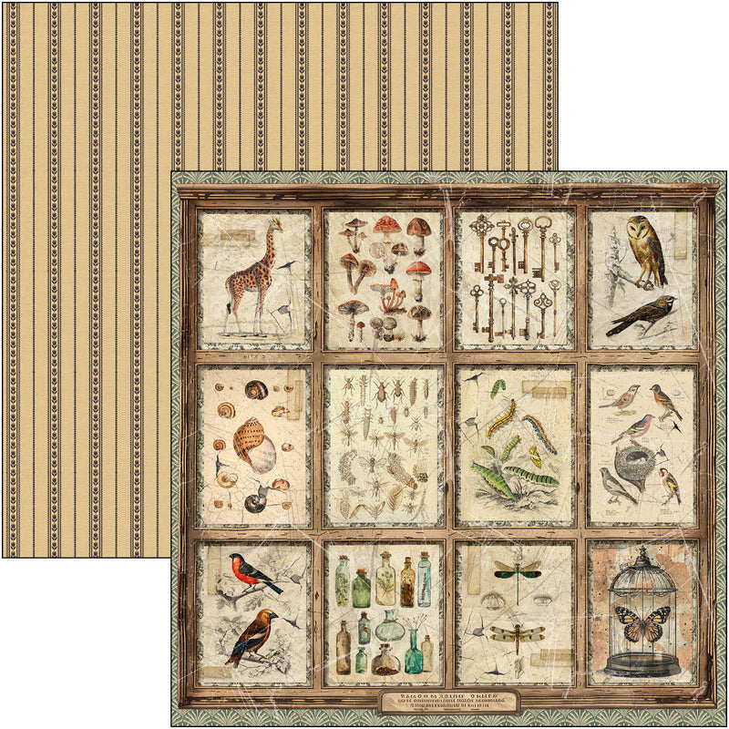 Cabinet Of Curiosities Patterns Pad 12"x12" 8/Pkg-7