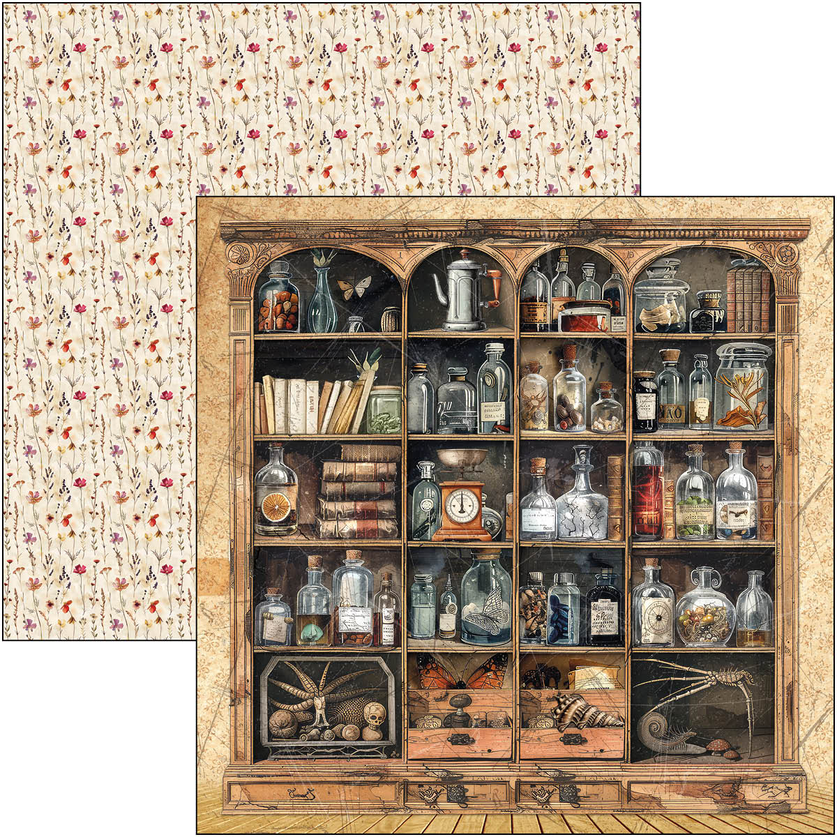 Cabinet Of Curiosities Patterns Pad 12"x12" 8/Pkg-9