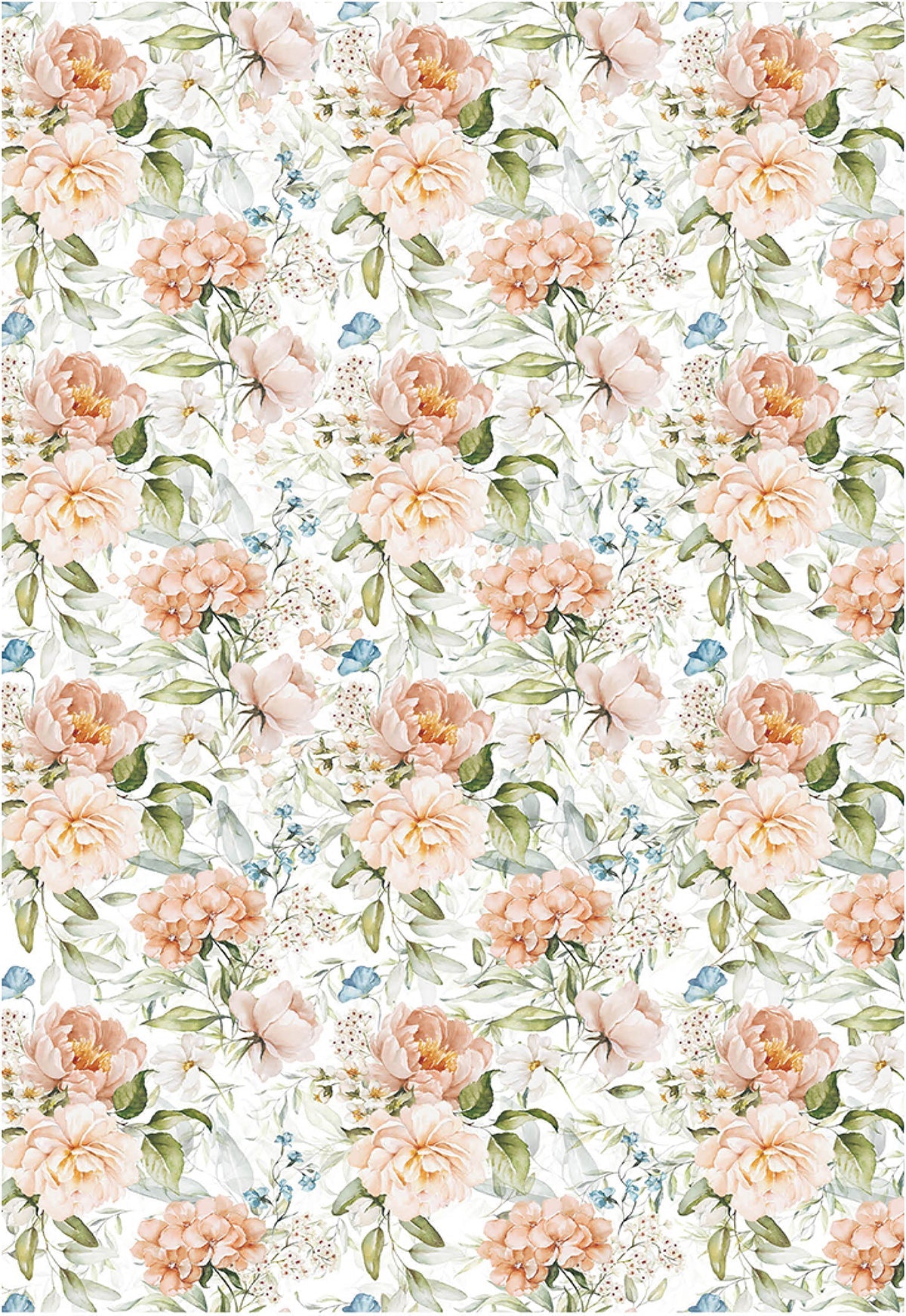 Ciao Bella Vellum Reign Of Grace Paper Patterns A4 6/Pkg-4