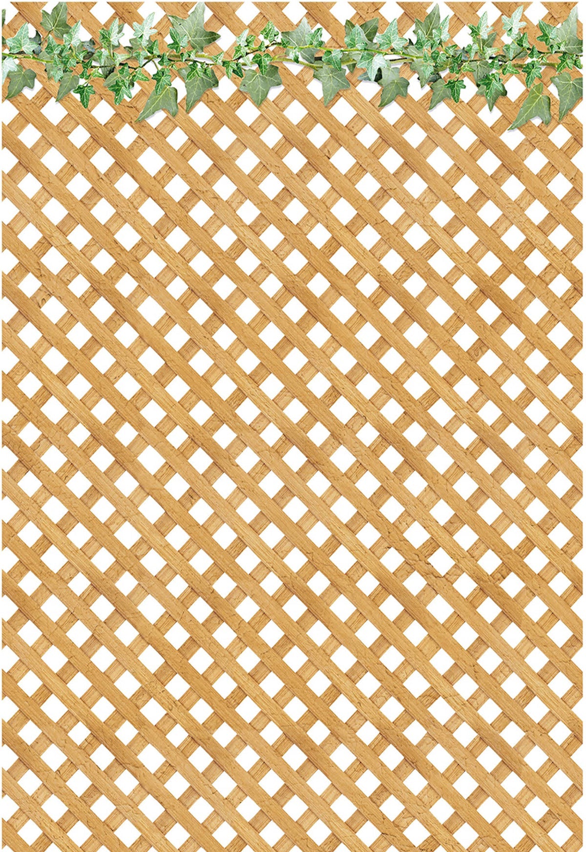 Ciao Bella Vellum Farmhouse Garden Paper Patterns A4 6/Pkg-3