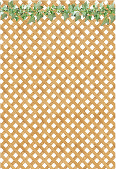 Ciao Bella Vellum Farmhouse Garden Paper Patterns A4 6/Pkg-3
