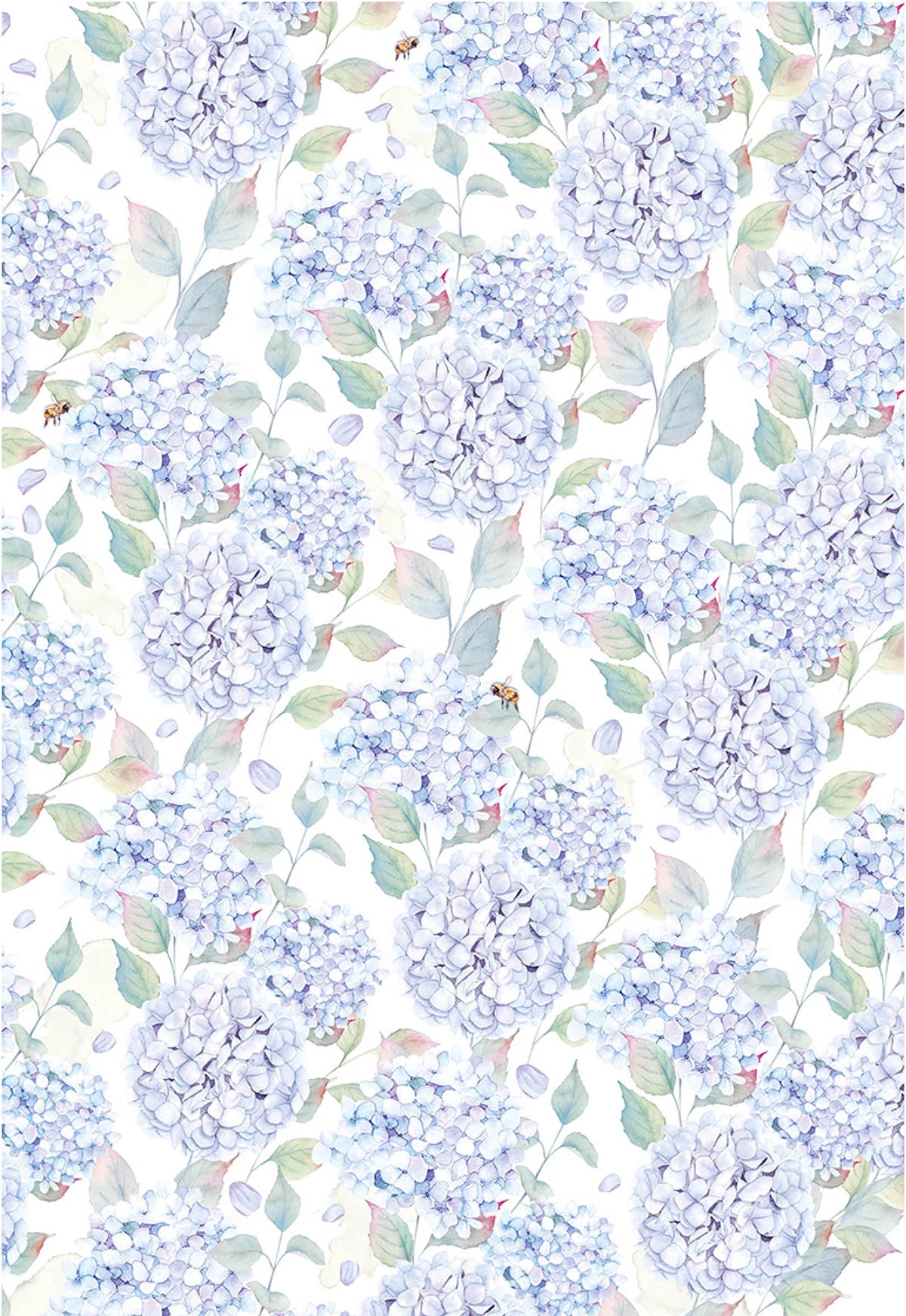 Ciao Bella Vellum Enchanted Land Paper Patterns A4 6/Pkg-6