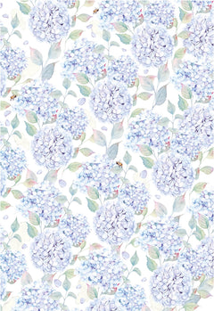 Ciao Bella Vellum Enchanted Land Paper Patterns A4 6/Pkg-6