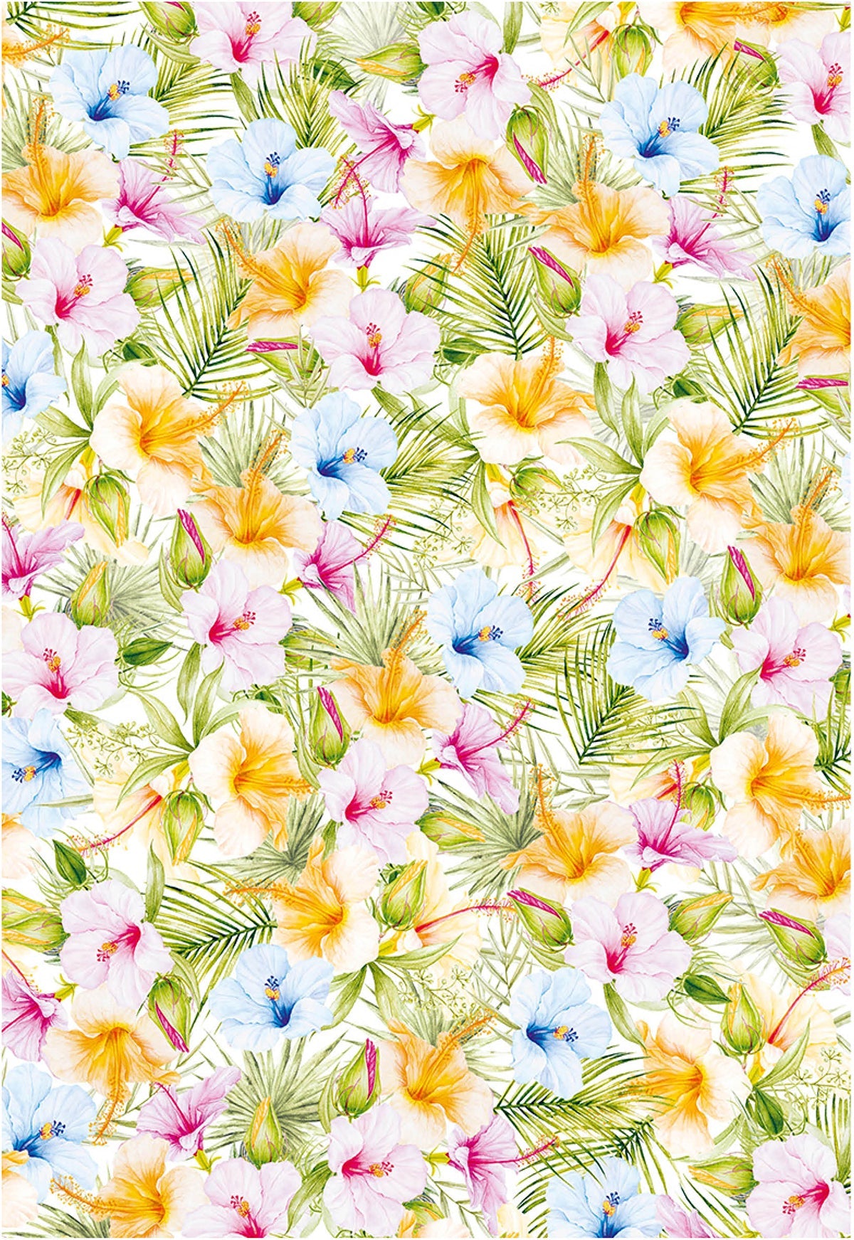 Ciao Bella Vellum Summer Breeze Paper Patterns A4 6/Pkg-5