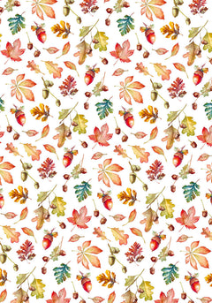 Ciao Bella Vellum Into The Wild Paper Patterns A4 6/Pkg-5