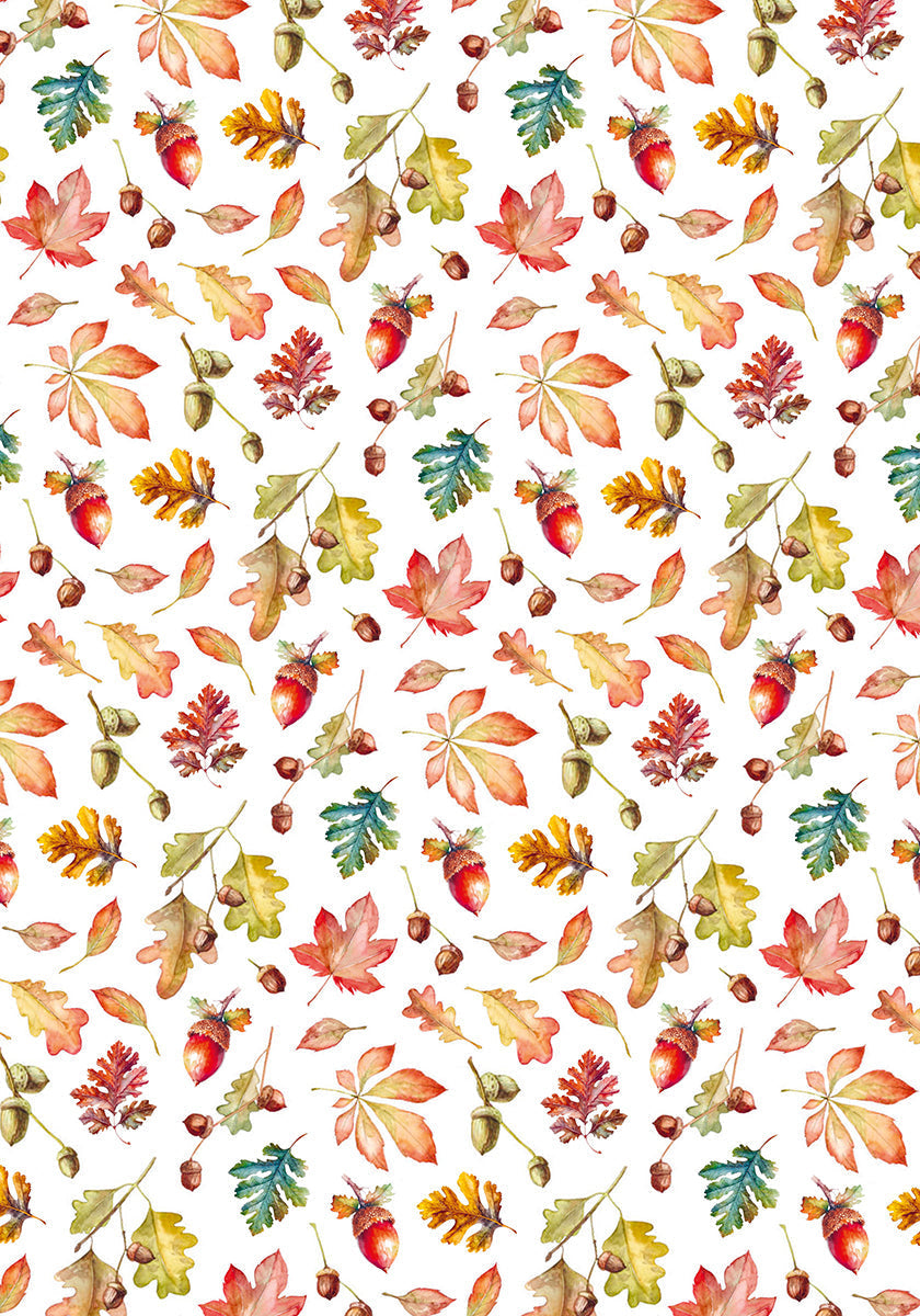 Ciao Bella Vellum Into The Wild Paper Patterns A4 6/Pkg-5
