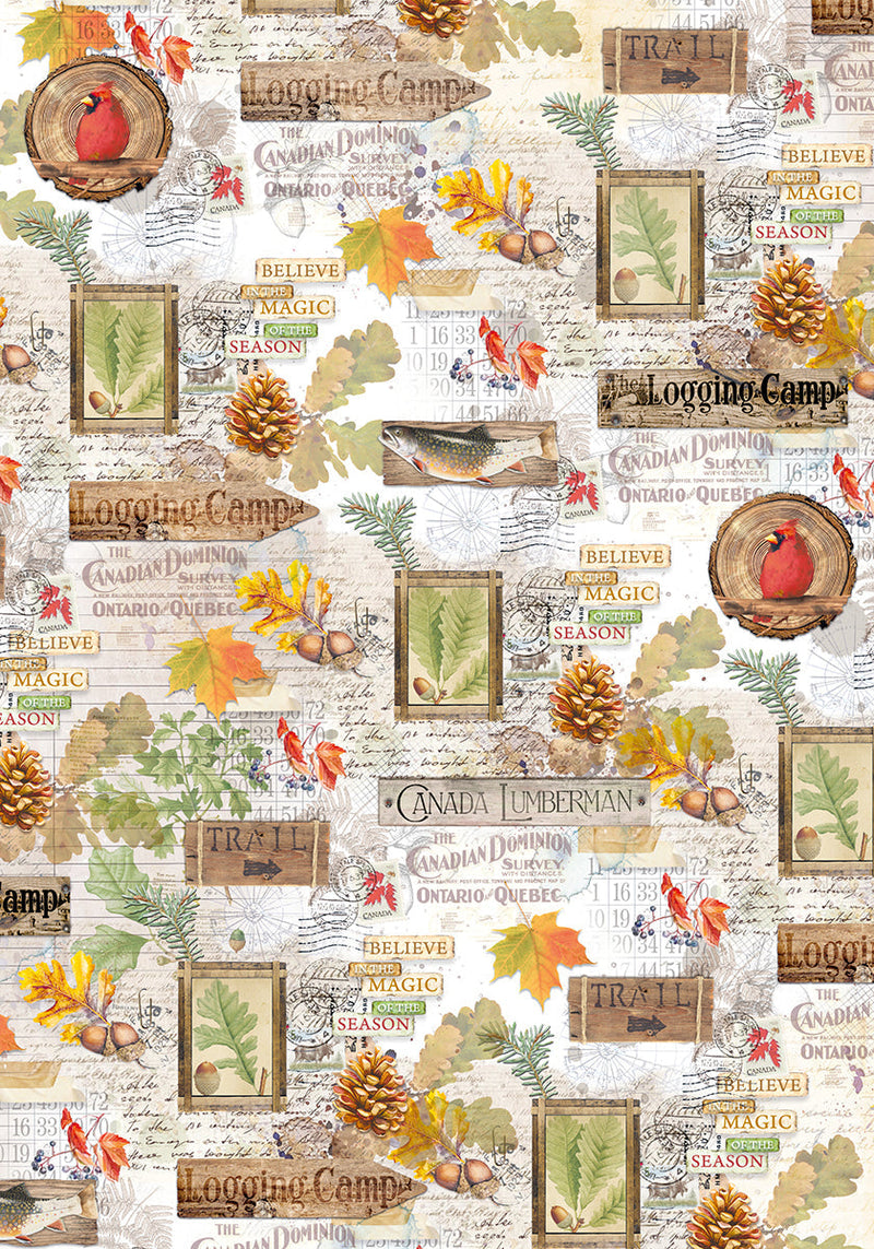 Ciao Bella Vellum Into The Wild Paper Patterns A4 6/Pkg-6
