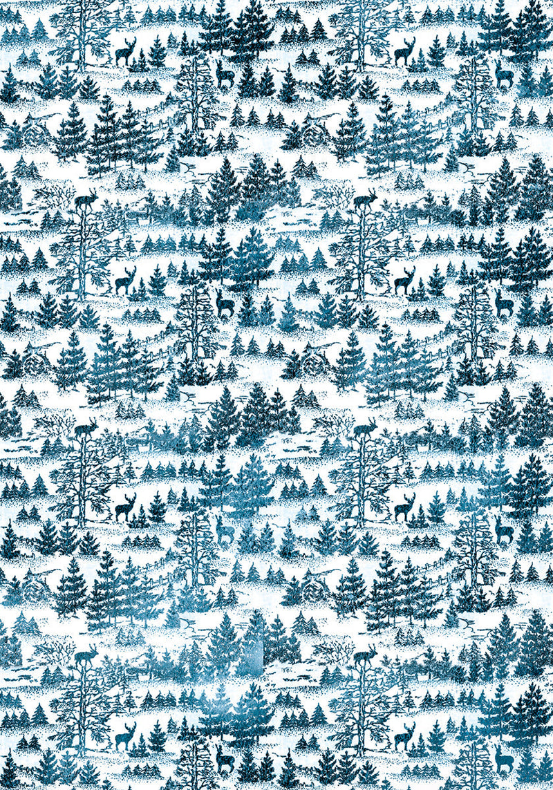 Ciao Bella Vellum Winter Journey Paper Patterns A4 6/Pkg-5