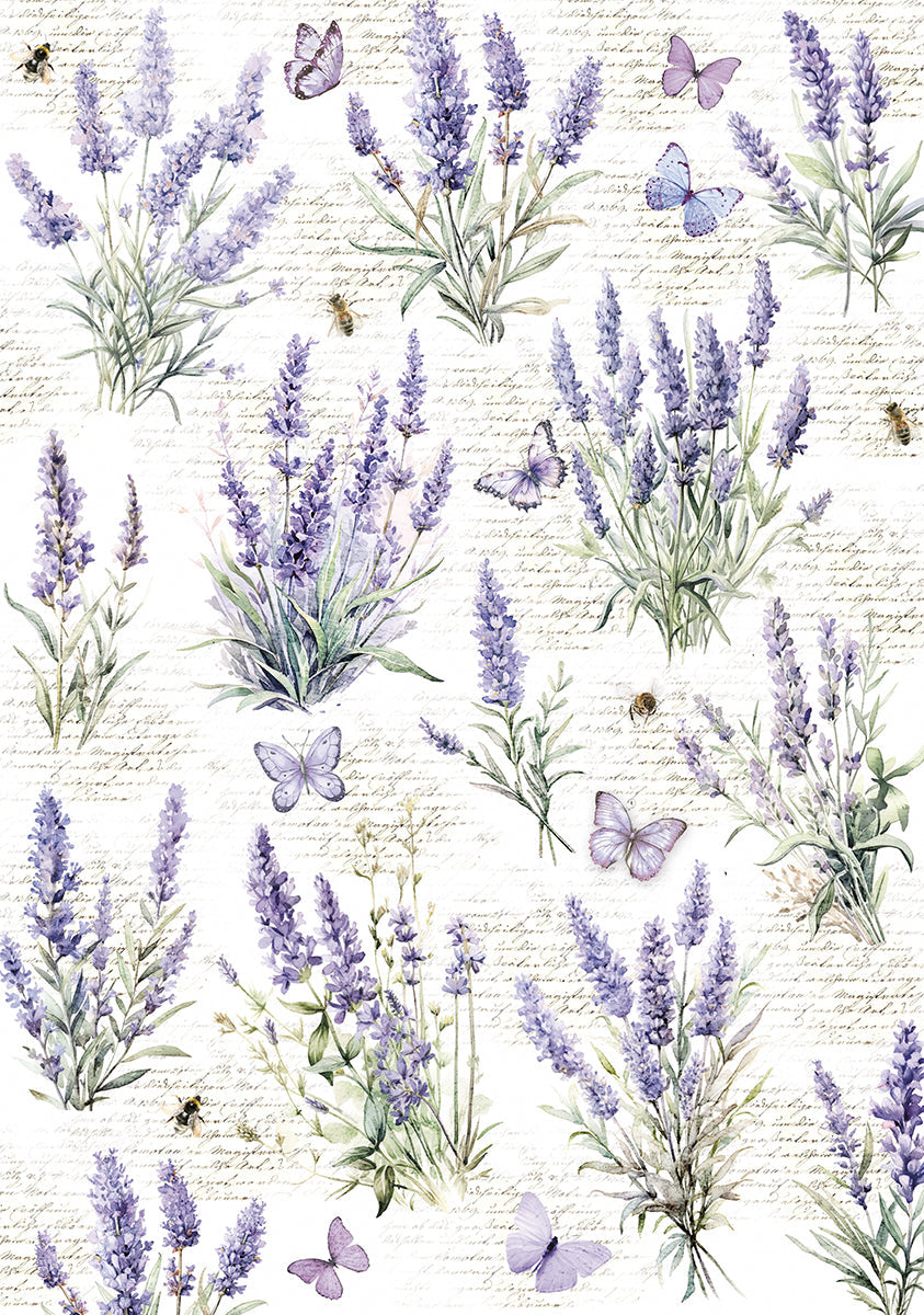 Vellum Morning In Provence Paper Patterns A4 6/Pkg-2