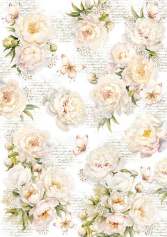 Vellum Always & Forever Paper Patterns A4 6/Pkg-2
