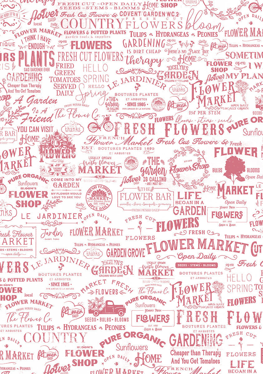 Patrons en papier pour fleuriste en vélin A4 6/paquet-5