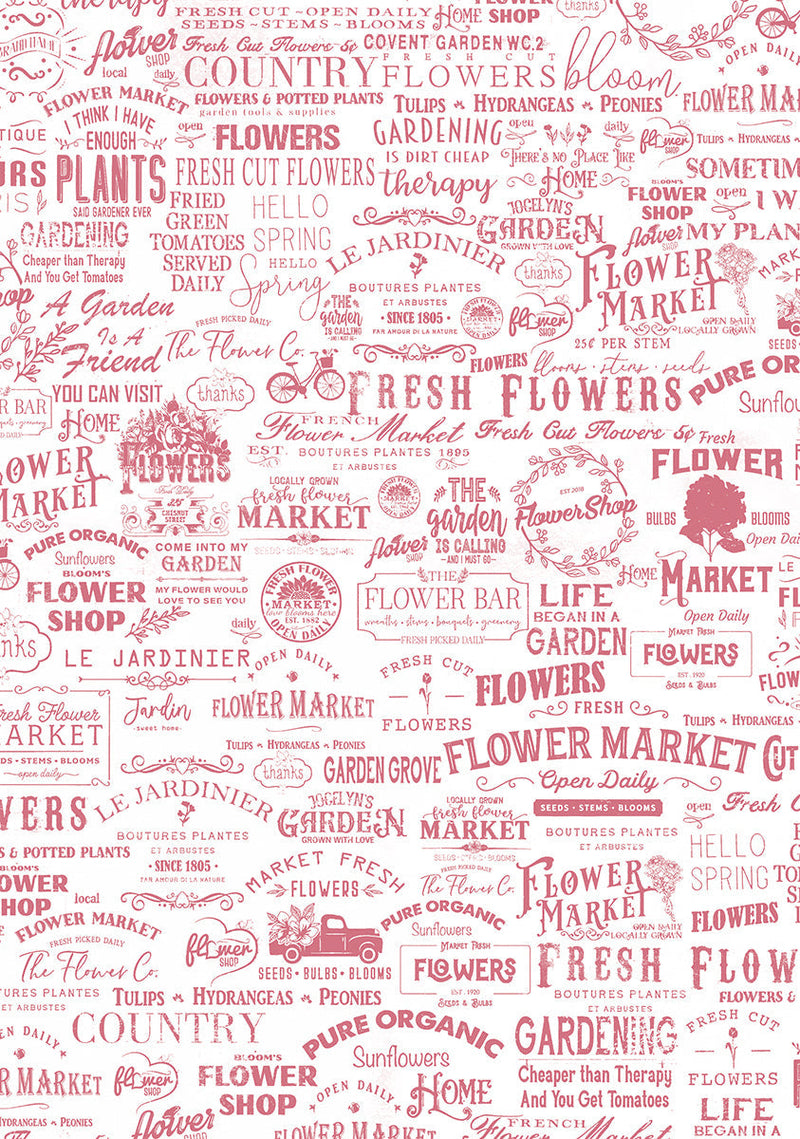 Patrons en papier pour fleuriste en vélin A4 6/paquet-5
