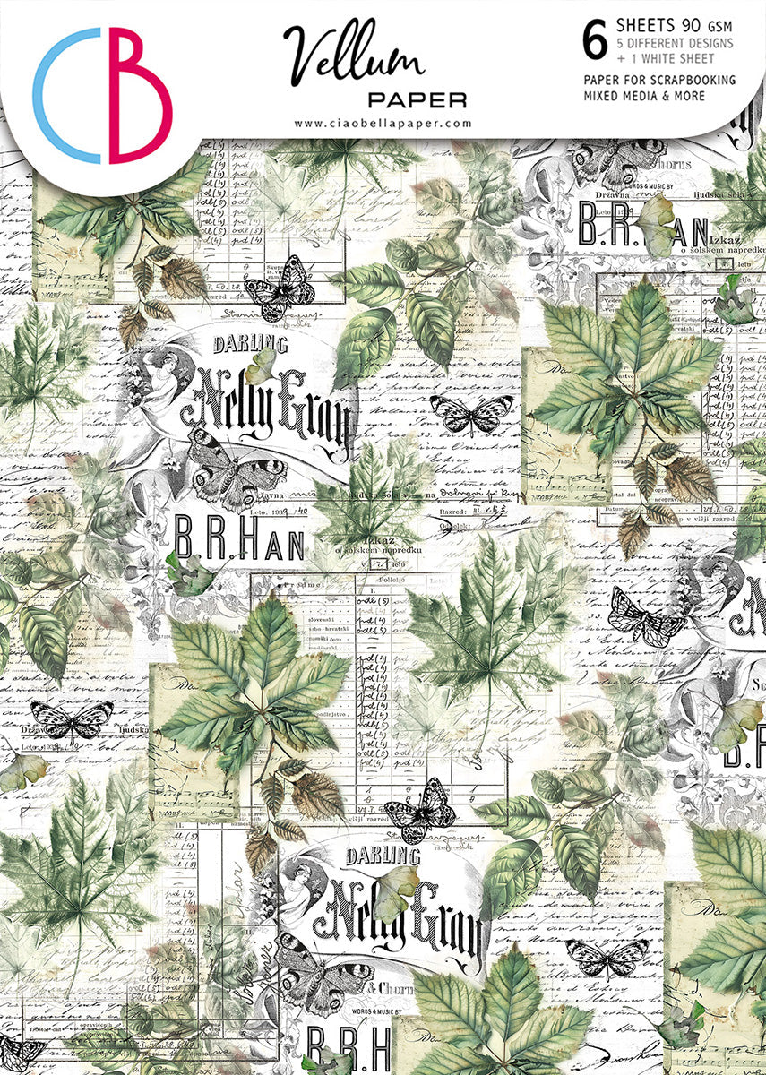 Papeles decorados Vellum Cabinet Of Curiosities A4 6/paquete