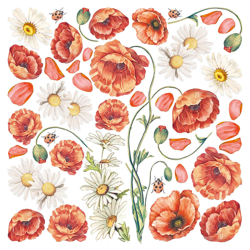 Ciao Bella Vellum Enchanted Land Fussy Cut 6"x6" 6/Pkg-6