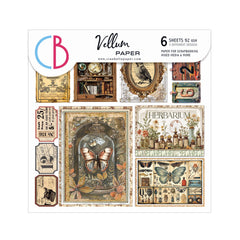Vellum Cabinet Of Curiosities Fussy Cut 6"x6" 6/Pkg-1