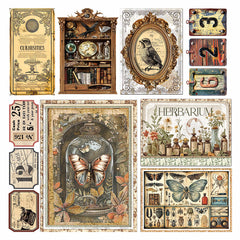 Vellum Cabinet Of Curiosities Fussy Cut 6"x6" 6/Pkg-2