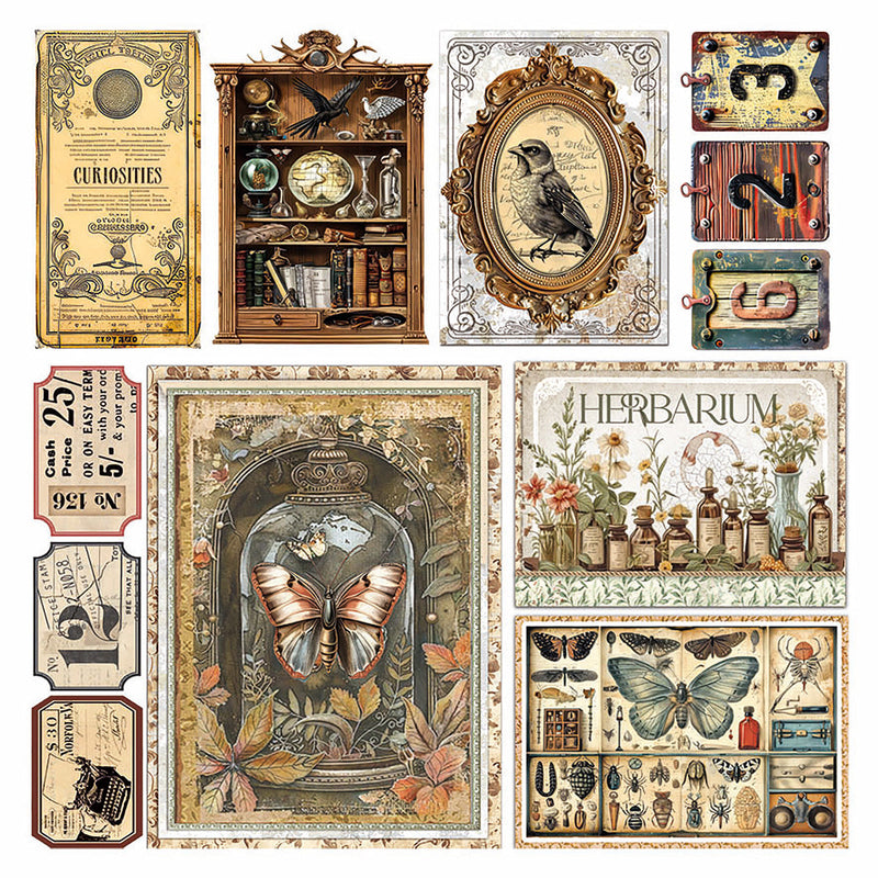 Vellum Cabinet Of Curiosities Fussy Cut 6"x6" 6/Pkg-2