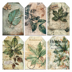Vellum Cabinet Of Curiosities Fussy Cut 6"x6" 6/Pkg-3