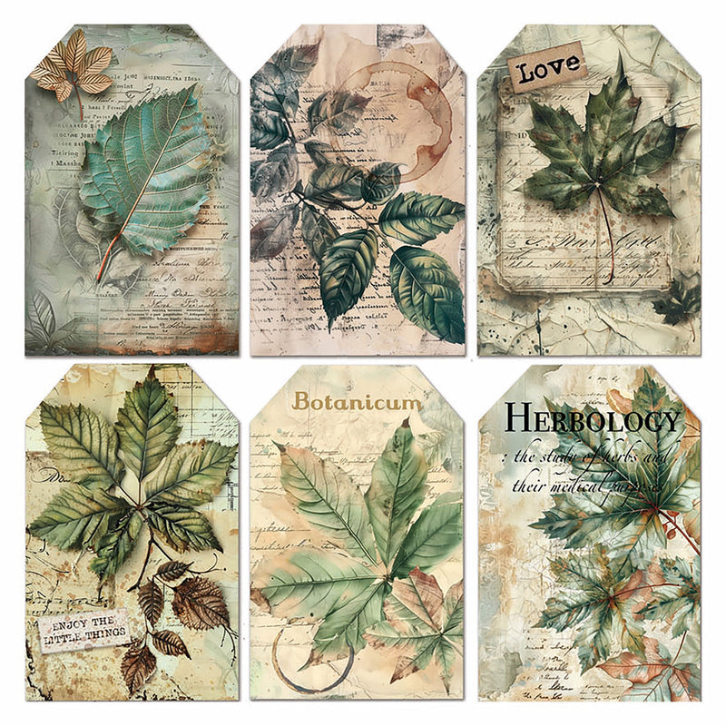 Vellum Cabinet Of Curiosities Fussy Cut 6"x6" 6/Pkg-3