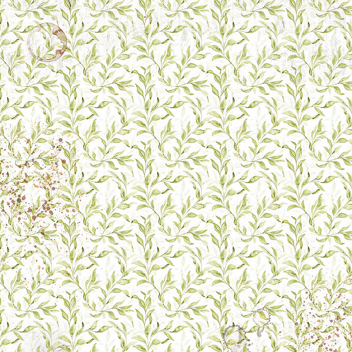 Vellum Cabinet Of Curiosities Fussy Cut 6"x6" 6/Pkg-4