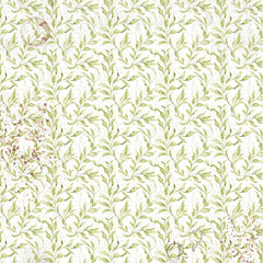 Vellum Cabinet Of Curiosities Fussy Cut 6"x6" 6/Pkg-4