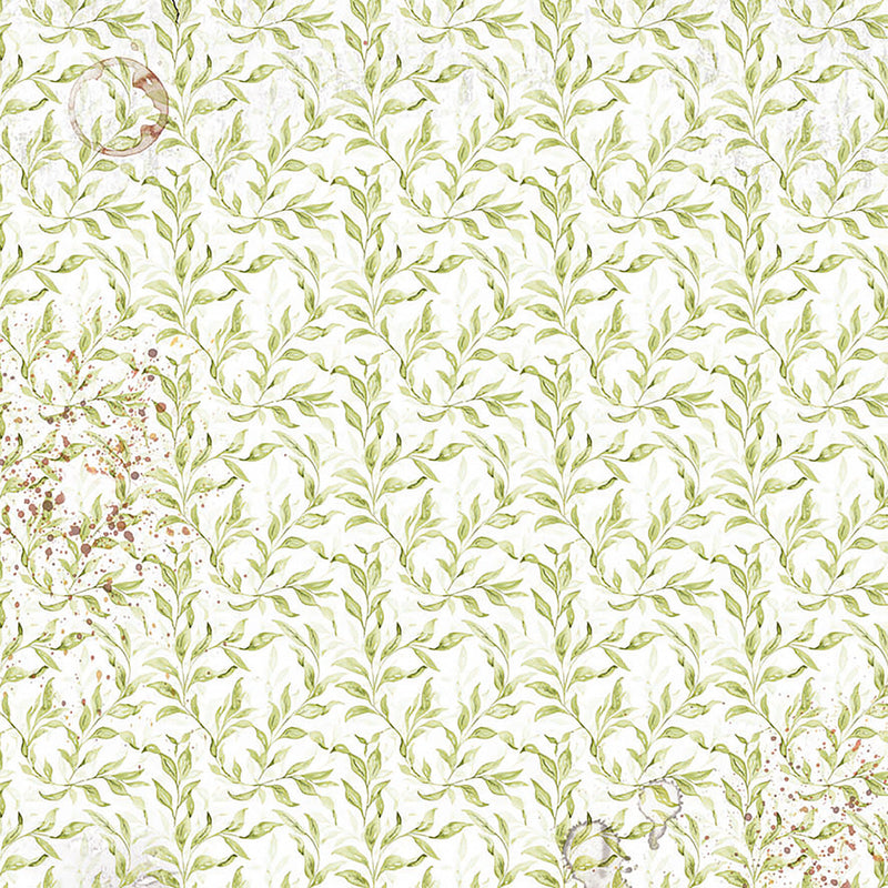 Vellum Cabinet Of Curiosities Fussy Cut 6"x6" 6/Pkg-4