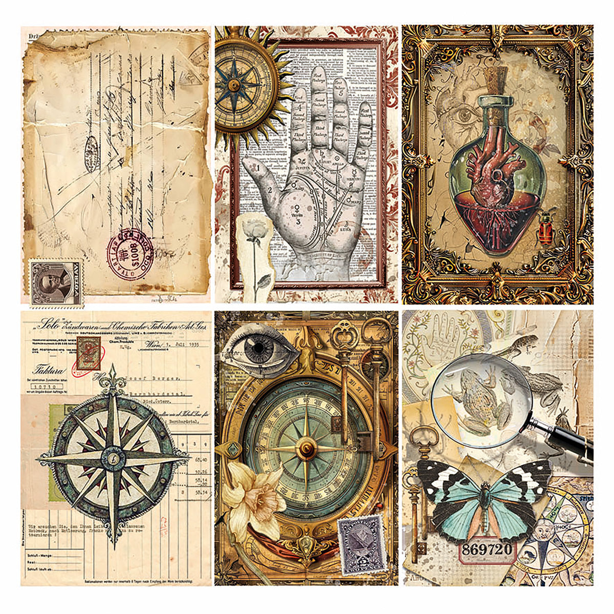 Vellum Cabinet Of Curiosities Fussy Cut 6"x6" 6/Pkg-5